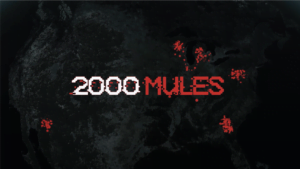 2000 Mules documentary