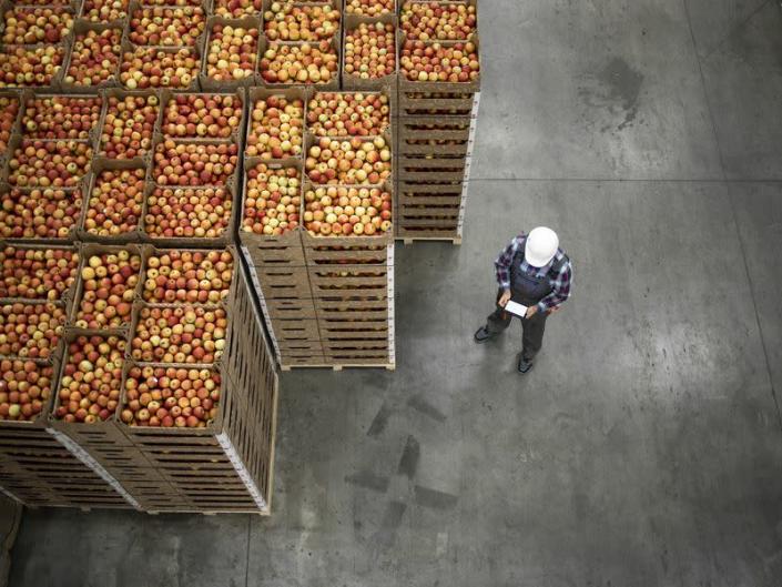 Blockchain Means So Much More Than Crypto - Like to this apple processing plant