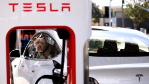 Analyst whose downgrade is hitting Tesla says the investing case has structurally changed, sees earnings downside