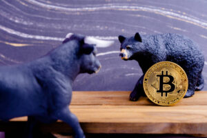 Bitcoin Sinks Amid Market Sell-off; NVIDIA Earnings and Fed Rate Outlook in Focus