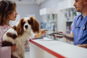 Pet insurance that pays the vet directly: How does it work?