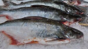Navis Capital exits Godaco Seafood in management buyout