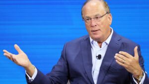BlackRock's smallest deal of 2024 may end up being its most consequential